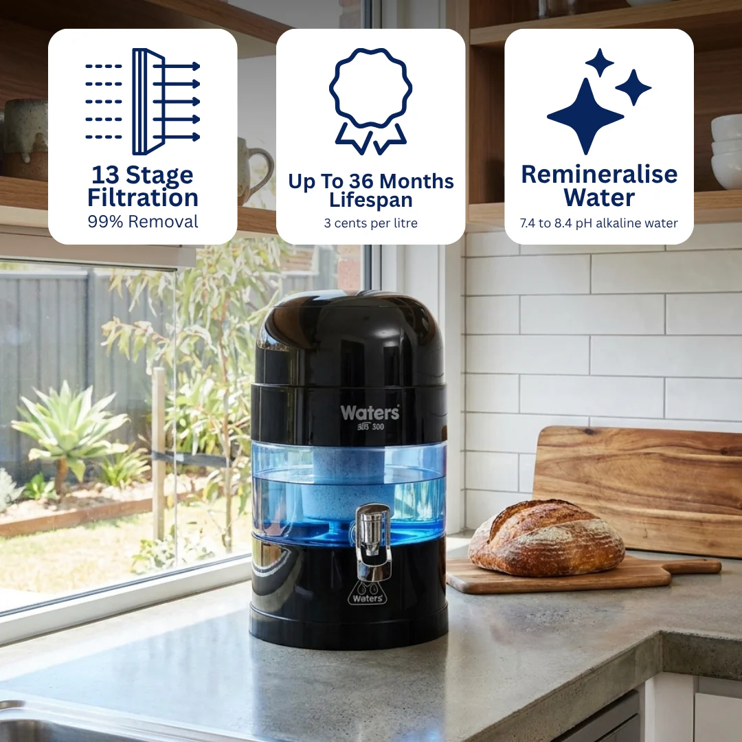 Halloween Water Filter Sale